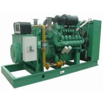 Water Cooled 200kVA/160kw LNG Biogas Natural Gas Generator